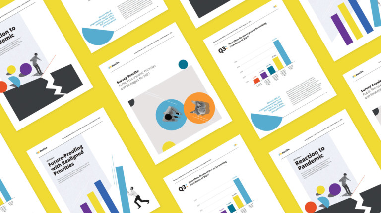 Cover image for report: Survey Results: Public Procurement Priorities and Strategies for 2021