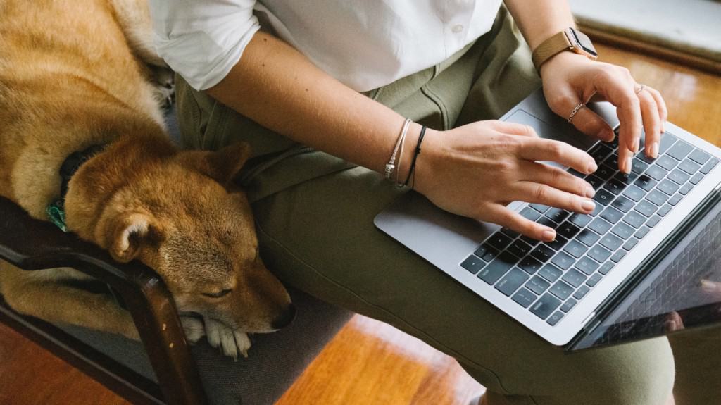 Procurement professional digitally transforming their operations