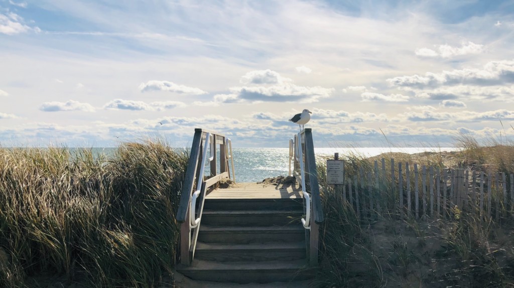 Beach in Cape Cod, Barnstable County